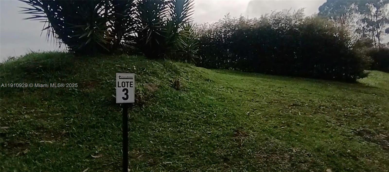 A sign labeled Lote 3 stands on a grassy, sloped lot with trees and bushes — Vereda Mampuesto Sector Garrido #3, C Colombia, C