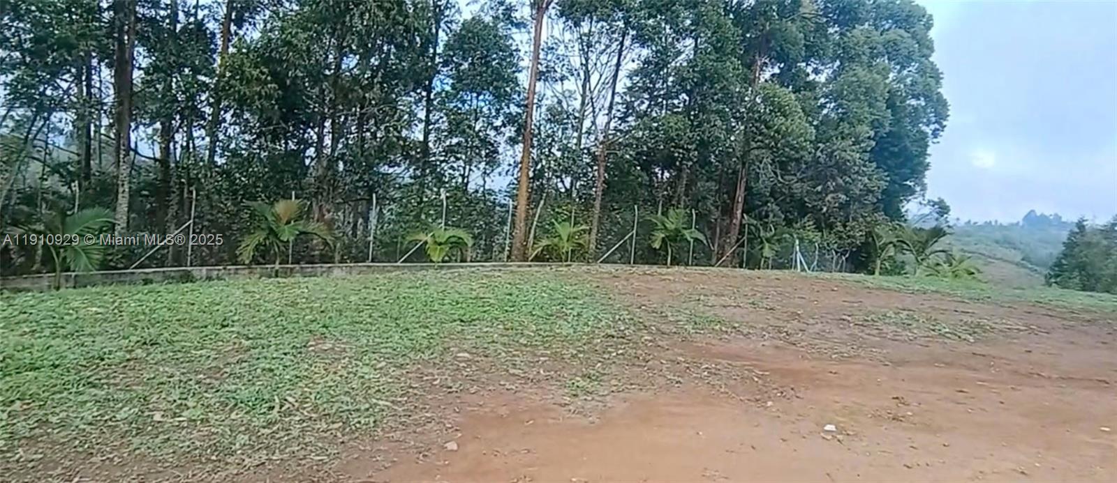 A grassy, dirt-covered lot features a low concrete wall and a line of trees — Vereda Mampuesto Sector Garrido #3, C Colombia, C
