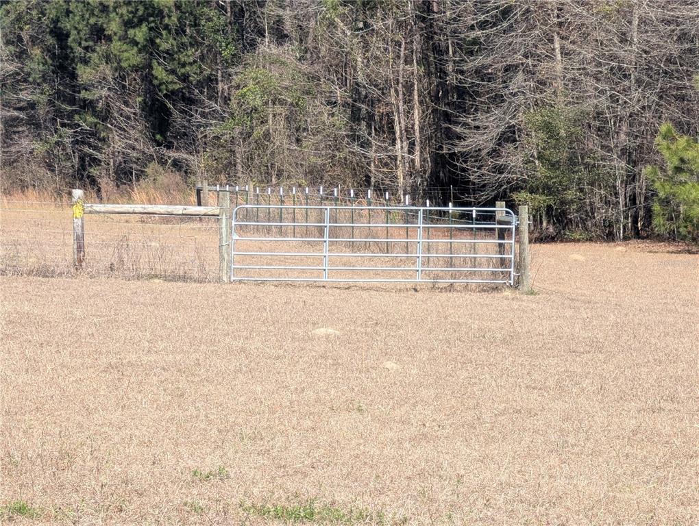 4052 US 431, EUFAULA, AL — photo 4 of 19