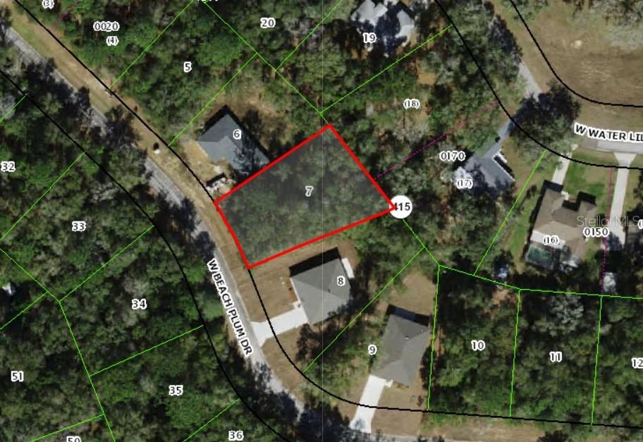 This is an aerial map showing a vacant lot highlighted in red on a residential street — 2031 W BEACH PLUM DRIVE, CITRUS SPRINGS, FL