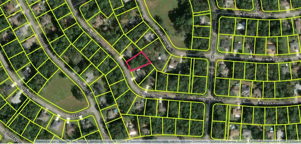 This is an aerial map showing a highlighted vacant lot within a residential neighborhood — 2031 W BEACH PLUM DRIVE, CITRUS SPRINGS, FL