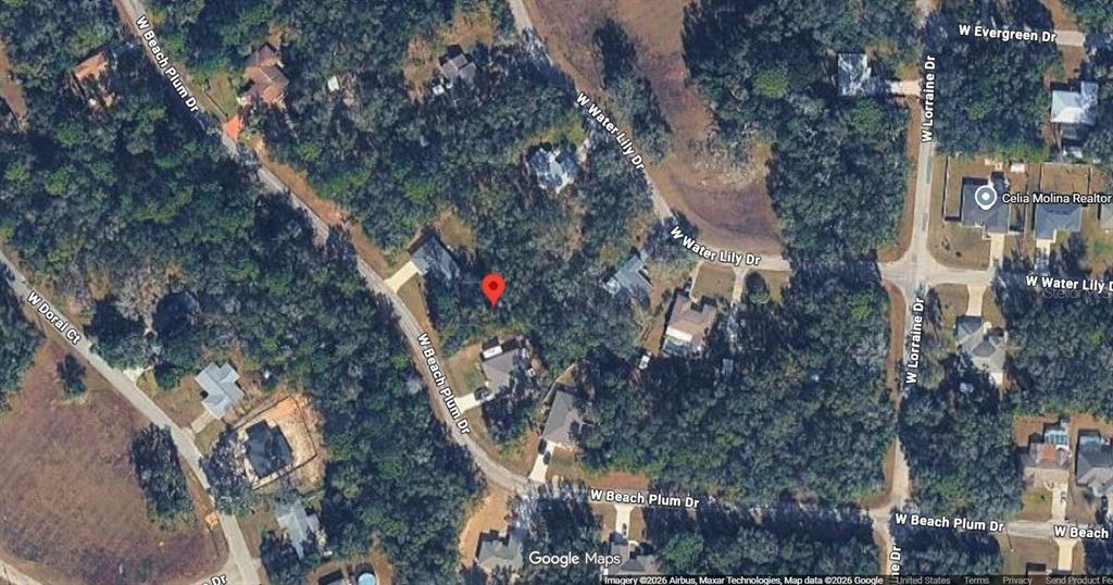 This is a satellite map view showing a residential lot with trees and nearby roads — 2031 W BEACH PLUM DRIVE, CITRUS SPRINGS, FL