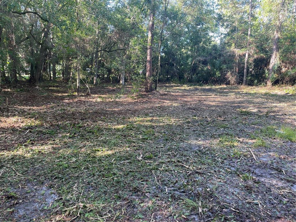 A cleared, wooded lot with scattered vegetation and mature trees in a natural setting — 3165 STEWART BOULEVARD, KISSIMMEE, FL