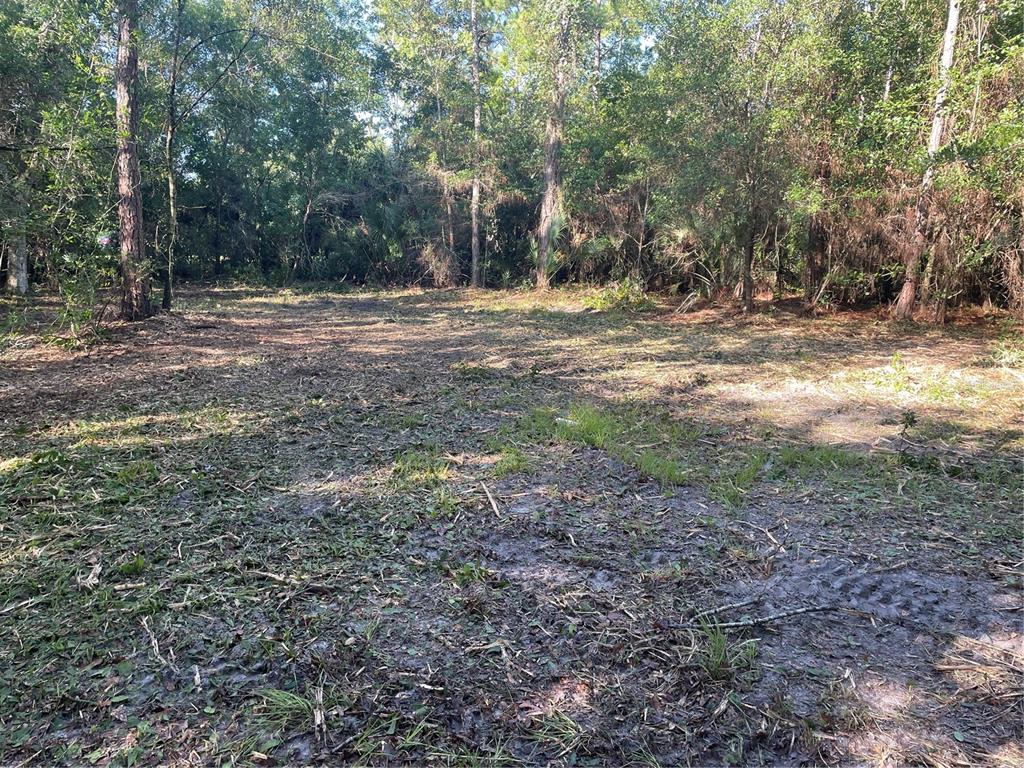 A cleared, wooded lot with scattered debris and patches of grass under a canopy of trees — 3165 STEWART BOULEVARD, KISSIMMEE, FL