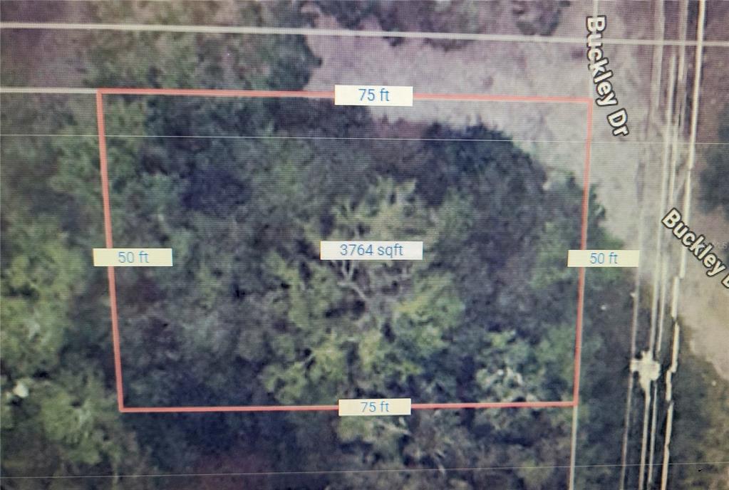 This is an aerial map showing a rectangular plot of land measuring 75 by 50 feet — 0 BUCKLEY DRIVE, KISSIMMEE, FL