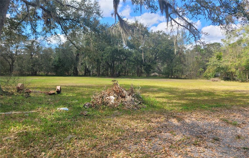 A large, grassy, vacant lot is surrounded by mature trees with hanging Spanish moss — 0 BUCKLEY DRIVE, KISSIMMEE, FL