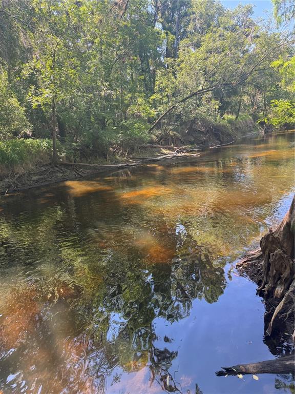 A narrow, dark-water creek flows through a dense forest with overhanging trees and palm fronds — 4405 COCONUT COVE PLACE, VALRICO, FL