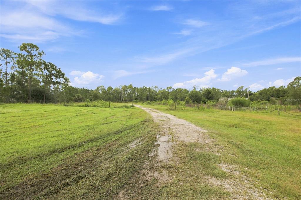 A dirt path leads through a grassy field toward a line of trees — 8146 TROPICAIRE BOULEVARD, NORTH PORT, FL