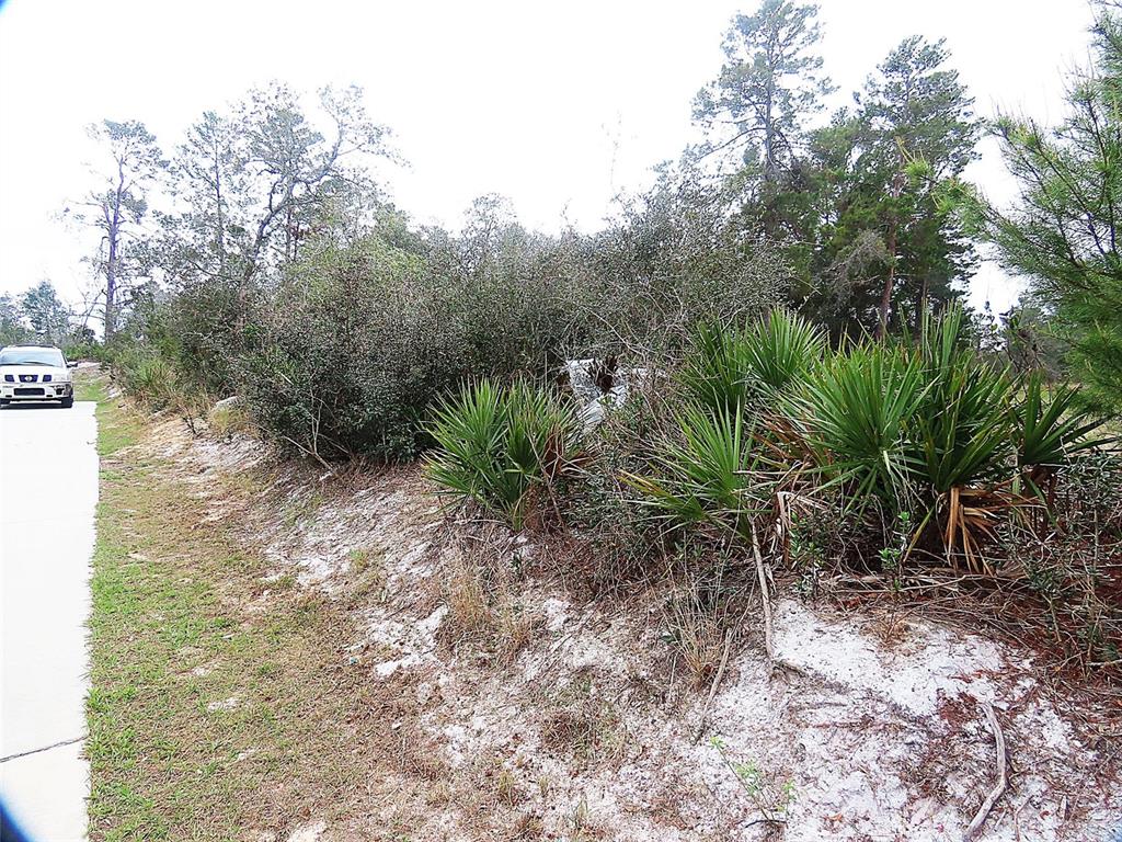 A white vehicle is parked on a paved road next to a sandy, vegetated lot — 71 ORCHID COURT, KISSIMMEE, FL