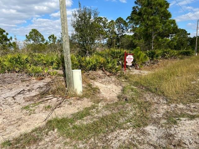 A utility pole and a stop sign stand on a sandy, undeveloped lot with vegetation — 2708 38 ST W, Lehigh Acres FL 33971, LEHIGH ACRES, FL