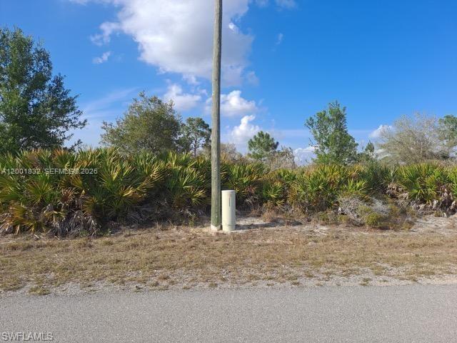 A utility pole and electrical box stand on a vacant, brush-covered lot — 2708 38 ST W, Lehigh Acres FL 33971, LEHIGH ACRES, FL