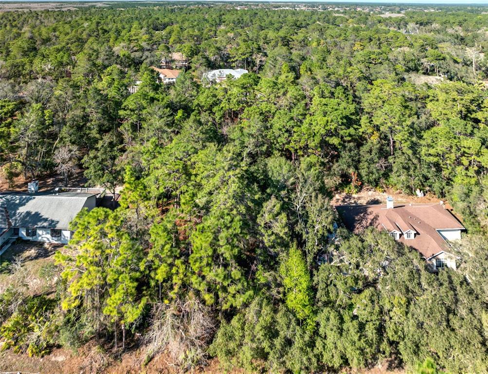 9003 GLENARM WAY, WEEKI WACHEE, FL — photo 3 of 12