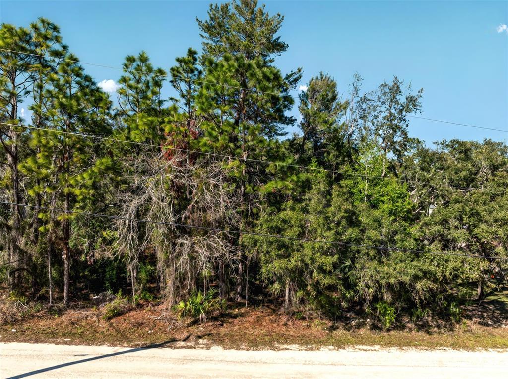 9003 GLENARM WAY, WEEKI WACHEE, FL — photo 4 of 12