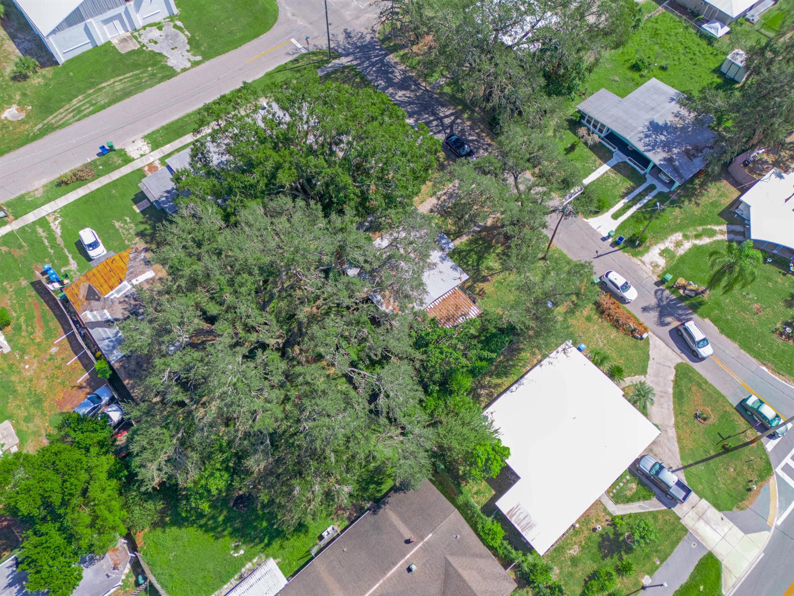 An aerial view shows a residential neighborhood with houses, streets, and a large central tree — 657 Ave C SW, Winter Haven FL 33880, WINTER HAVEN, FL