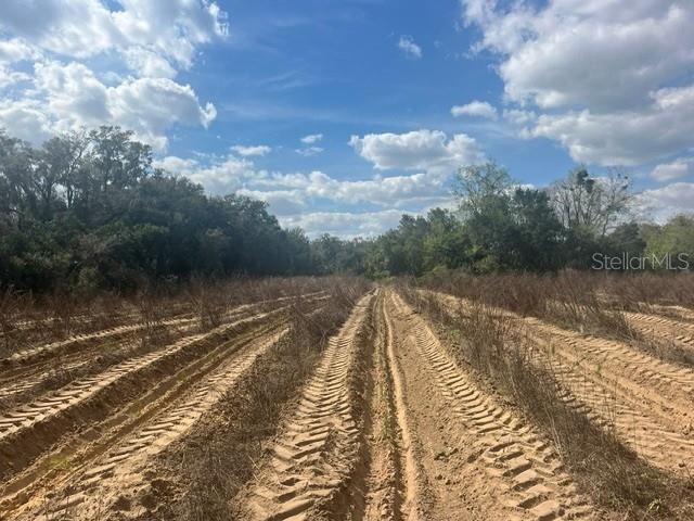 A dirt field features deep tire tracks leading toward a line of trees under clouds — SE 132ND STREET, SUMMERFIELD, FL