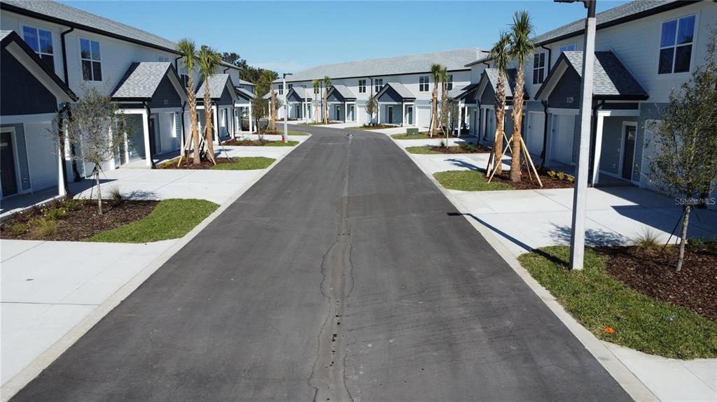 A paved road runs between two rows of modern townhouses with palm trees and landscaping — 1111 E CAROLINE STREET, TAVARES, FL