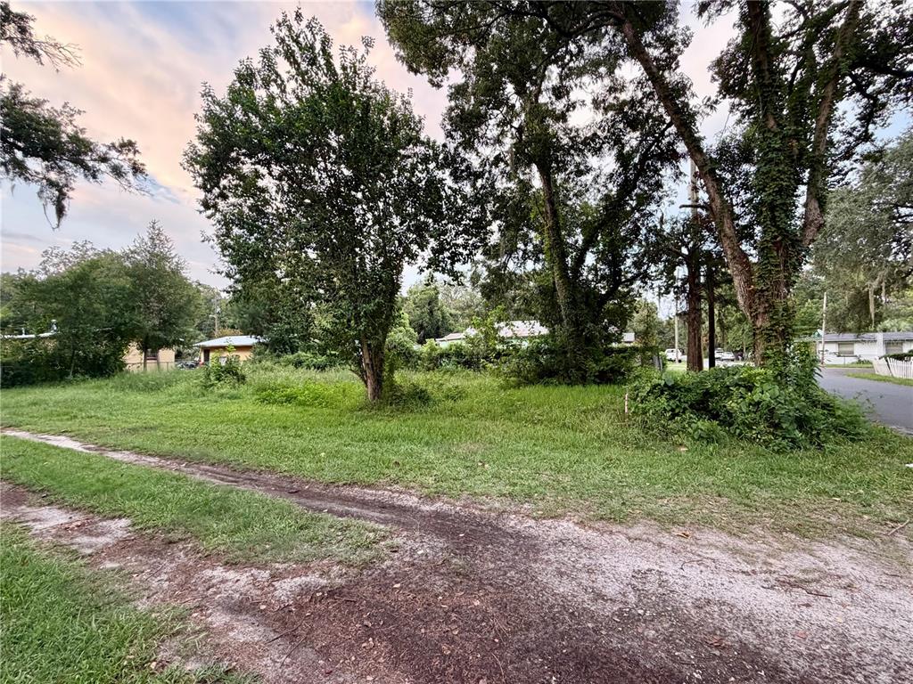 A grassy, tree-filled vacant lot sits adjacent to a dirt road and neighboring houses — XX NE 5TH AVENUE, GAINESVILLE, FL