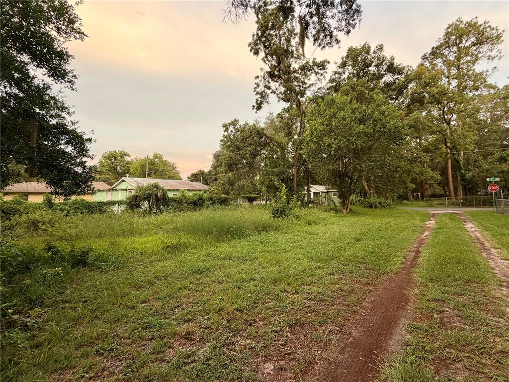 A grassy, undeveloped lot features a dirt path leading toward a stop sign and trees — XX NE 5TH AVENUE, GAINESVILLE, FL