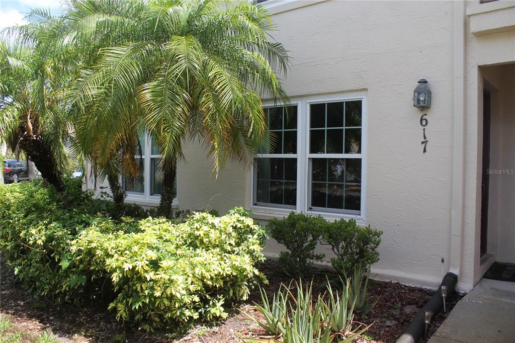 A view of a beige building exterior with a palm tree and landscaped bushes — 7924 HARDWICK DRIVE UNIT 617, NEW PORT RICHEY, FL