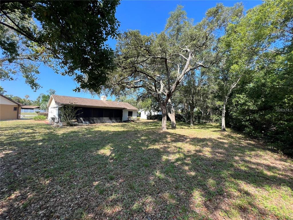 A backyard view shows a house with a screened-in porch and large mature trees — 8205 PAGODA DRIVE, SPRING HILL, FL