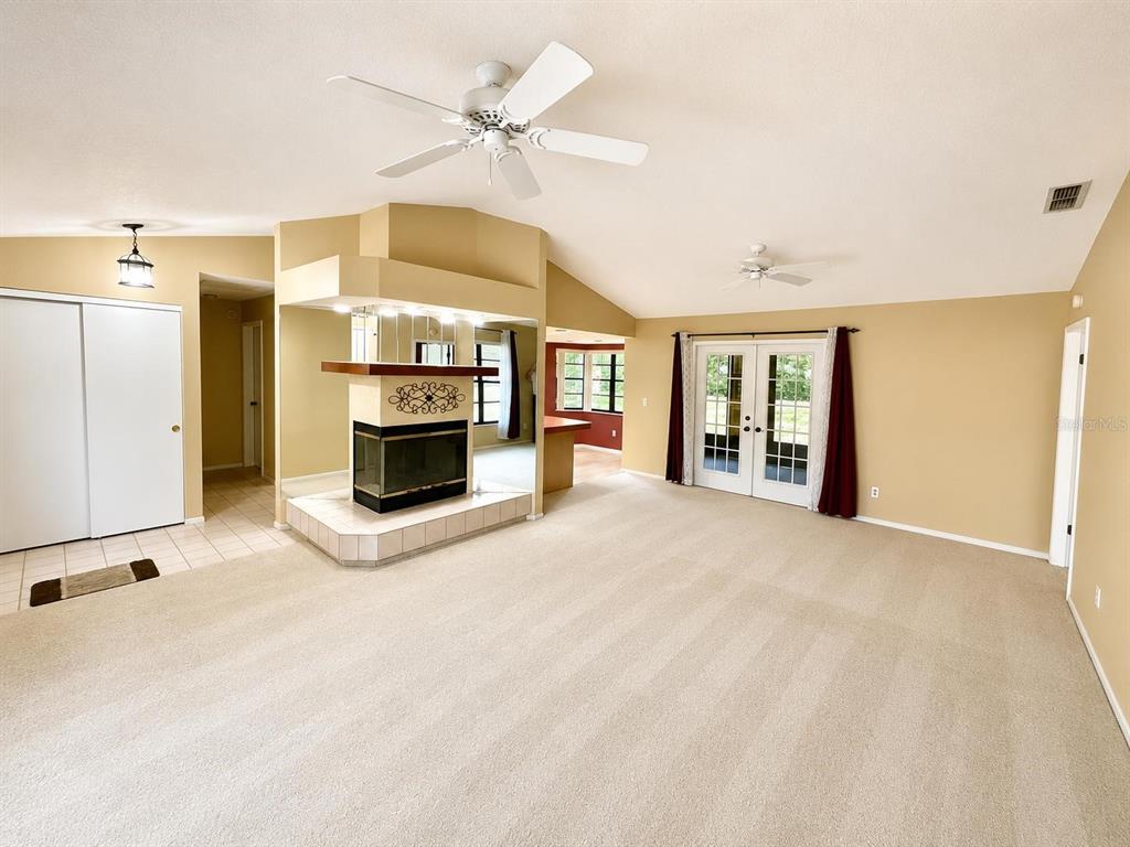 A living room features beige carpet, a central fireplace, and glass doors leading outside — 8205 PAGODA DRIVE, SPRING HILL, FL
