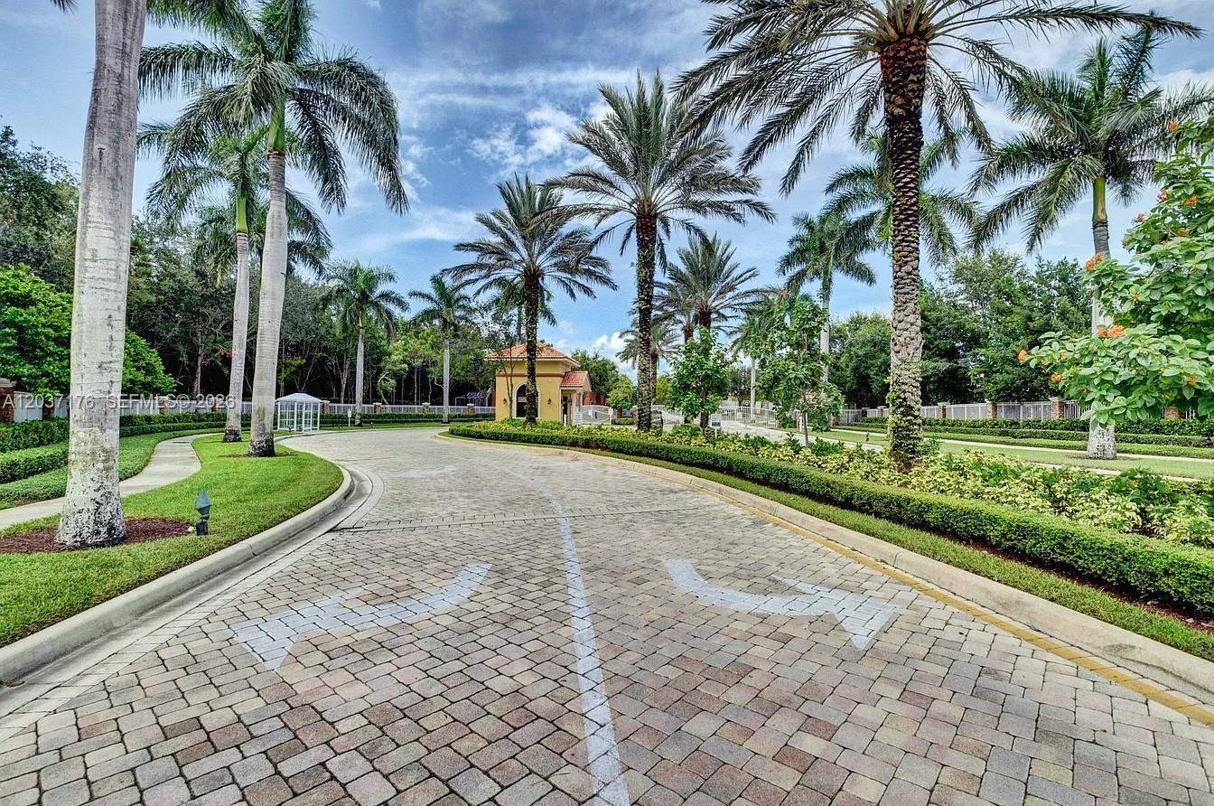 A paved driveway leads toward a gated entrance surrounded by palm trees and manicured landscaping — 12166 COLONY PRESERVE DR, Boynton Beach FL 33436, BOYNTON BEACH, FL