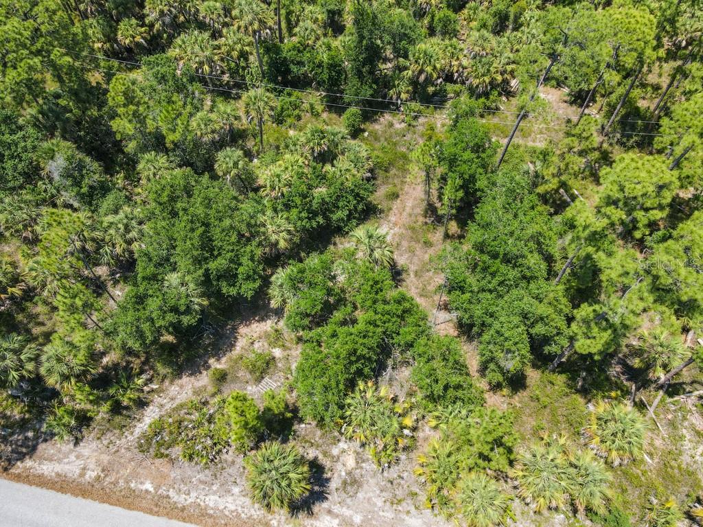 An aerial view shows a wooded, undeveloped lot with native vegetation and a paved road — 17420 IAGO AVENUE, PORT CHARLOTTE, FL