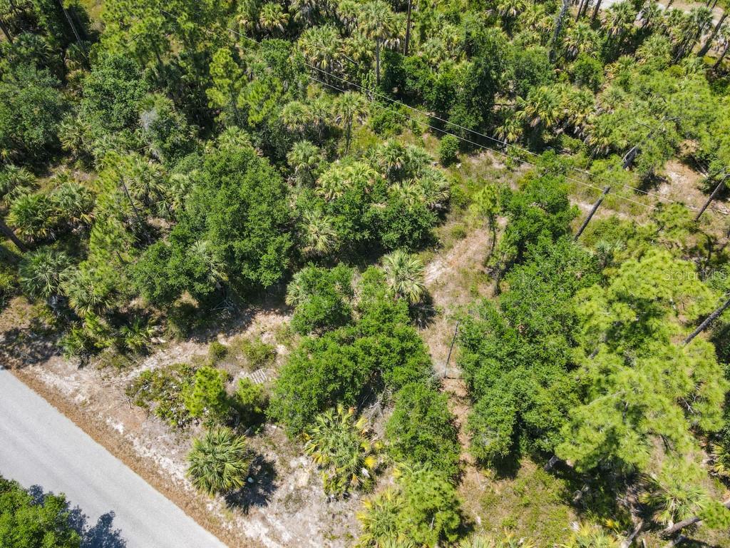 An aerial view of a wooded, undeveloped lot bordering a paved road — 17420 IAGO AVENUE, PORT CHARLOTTE, FL