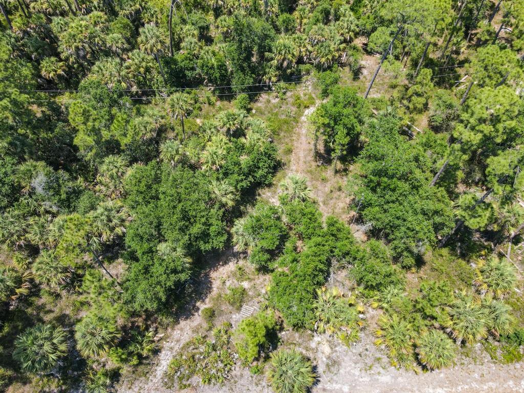 An aerial view shows a wooded lot with dense vegetation and a dirt path — 17420 IAGO AVENUE, PORT CHARLOTTE, FL