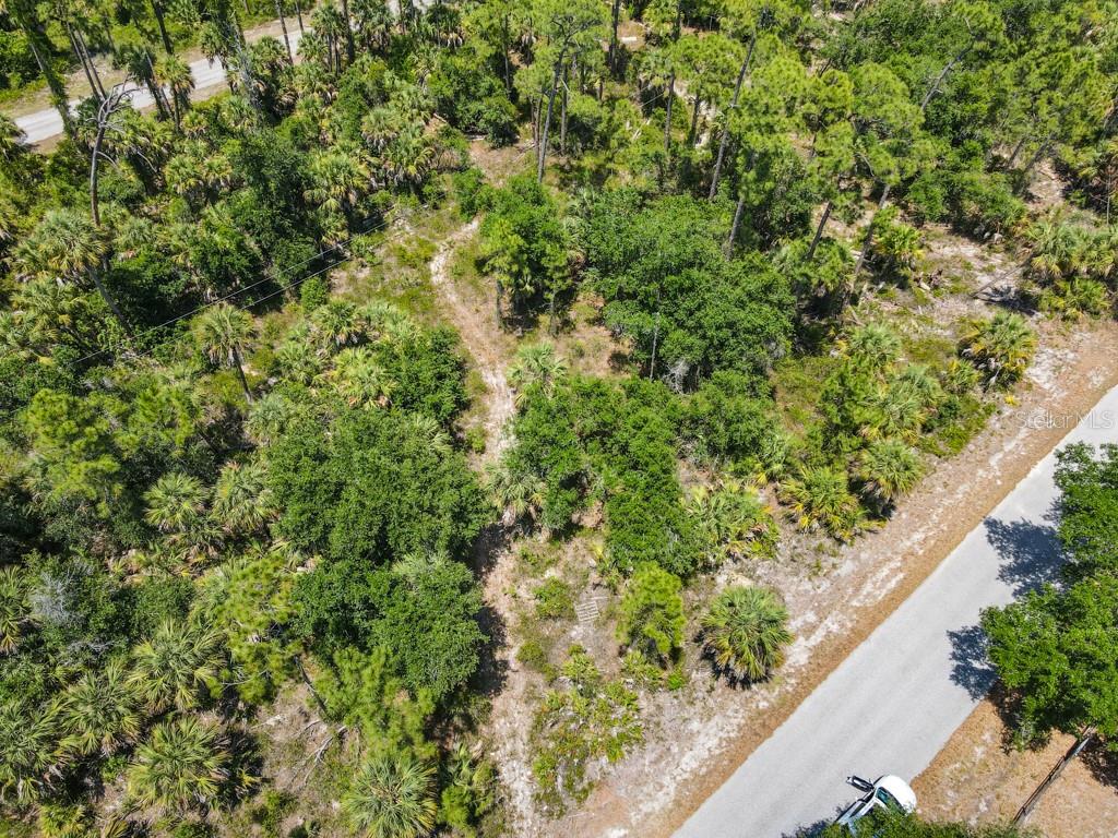 An aerial view shows a wooded, undeveloped lot with a dirt path near a paved road — 17420 IAGO AVENUE, PORT CHARLOTTE, FL
