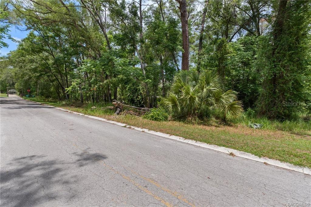 A paved road runs alongside a wooded lot with dense trees and a palmetto bush — 5941 E CALICO LANE, INVERNESS, FL