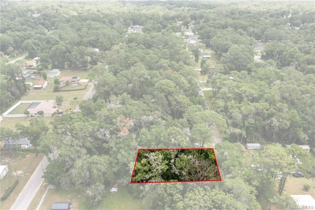 An aerial view shows a rectangular plot of land outlined in red amidst dense trees — 5941 E CALICO LANE, INVERNESS, FL