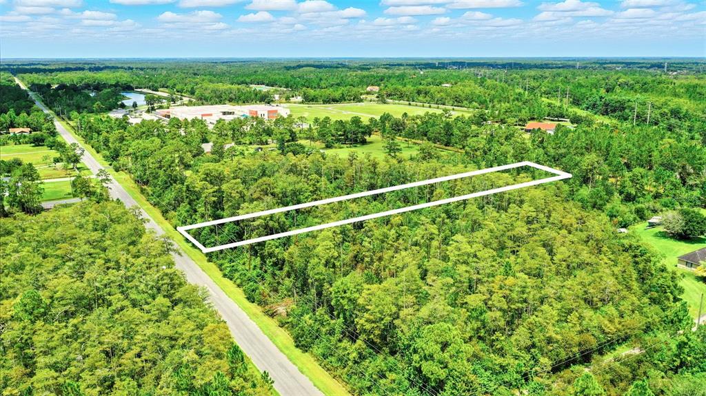 An aerial view shows a rectangular plot of land outlined in white amidst wooded terrain — PADDOCK STREET, ORLANDO, FL