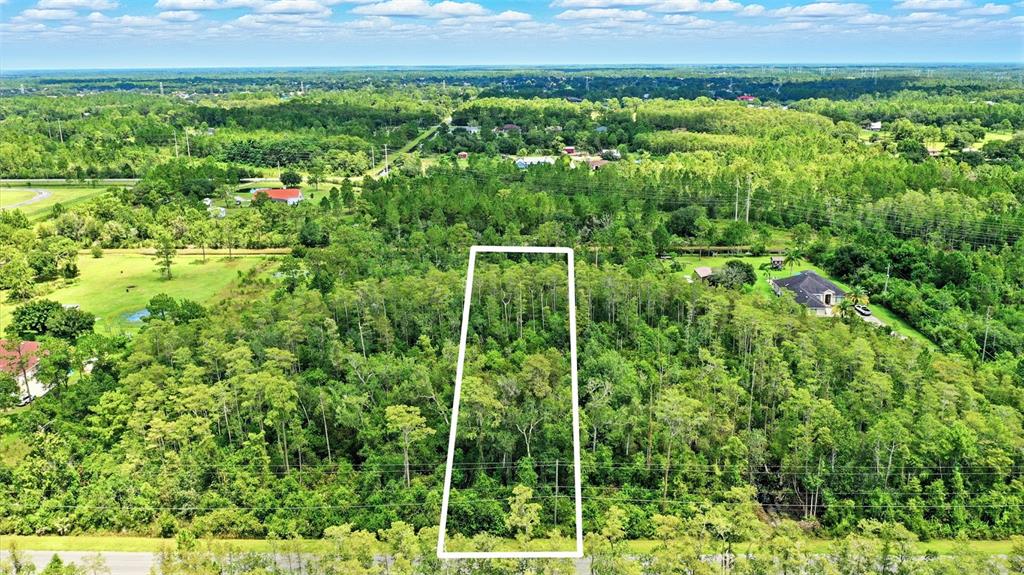 An aerial view shows a rectangular plot of land outlined in white amidst dense trees — PADDOCK STREET, ORLANDO, FL