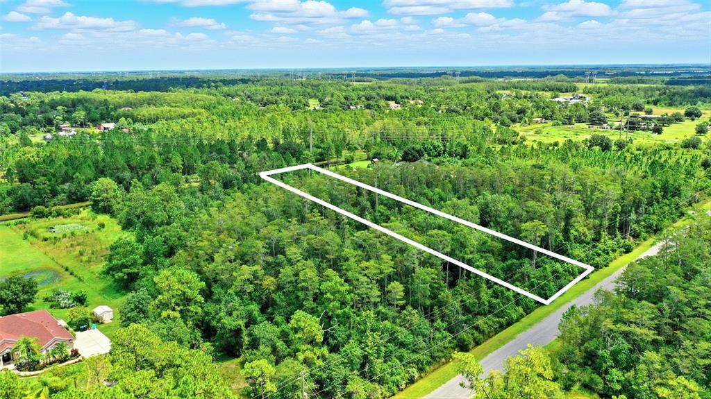 An aerial view shows a rectangular plot of land outlined in white amidst dense forest — PADDOCK STREET, ORLANDO, FL
