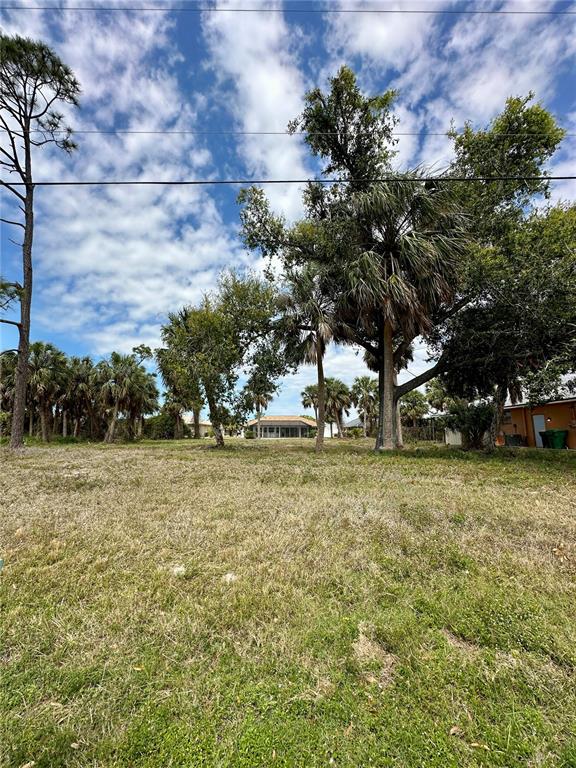 A grassy vacant lot features several palm trees and a house in the distance — 45 LONG MEADOW LANE, ROTONDA WEST, FL