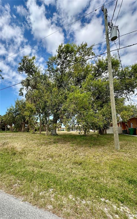 A utility pole stands beside a grassy lot with several large trees under a cloudy sky — 45 LONG MEADOW LANE, ROTONDA WEST, FL