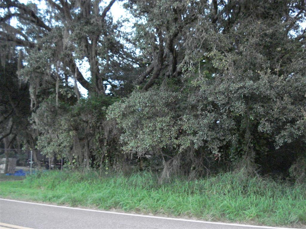 A paved road runs alongside a dense thicket of trees and overgrown vegetation — AVON PARK CUTOFF EAST ROAD, FROSTPROOF, FL