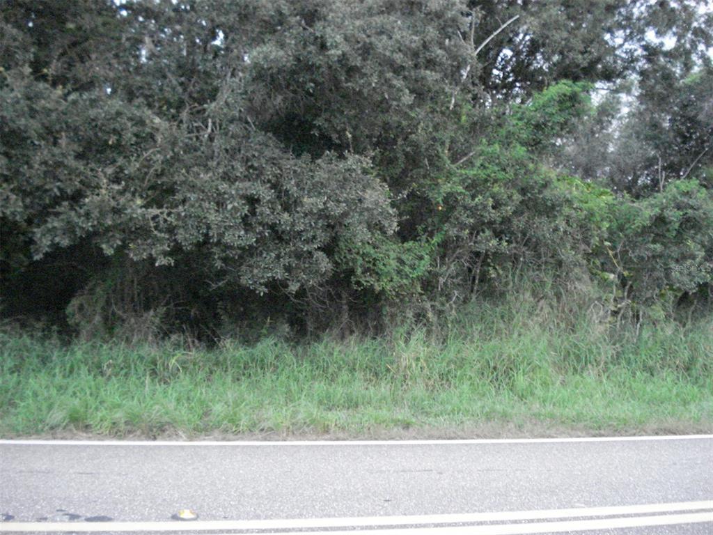 A paved road runs in front of a dense, wooded area with tall green trees — AVON PARK CUTOFF EAST ROAD, FROSTPROOF, FL
