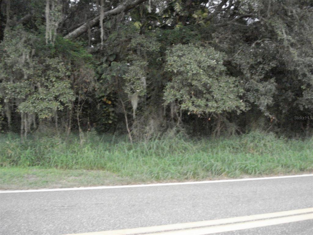 A paved road runs in front of a dense, wooded area with trees and vegetation — AVON PARK CUTOFF EAST ROAD, FROSTPROOF, FL