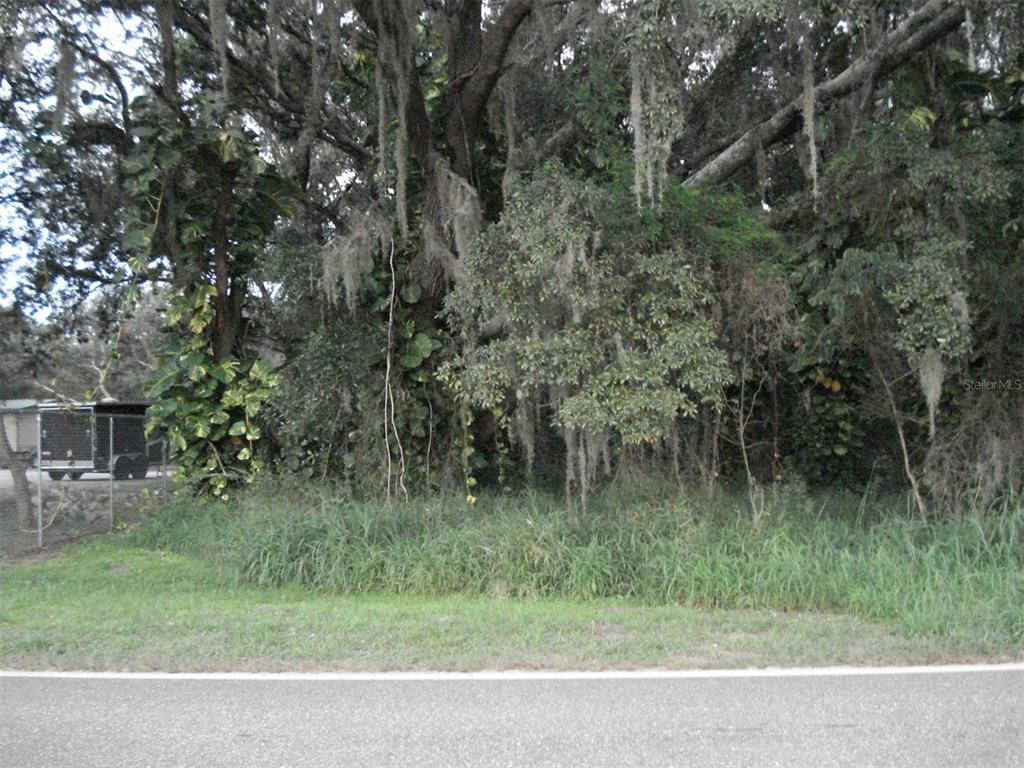 A dense, wooded lot with Spanish moss and a trailer visible on the left — AVON PARK CUTOFF EAST ROAD, FROSTPROOF, FL