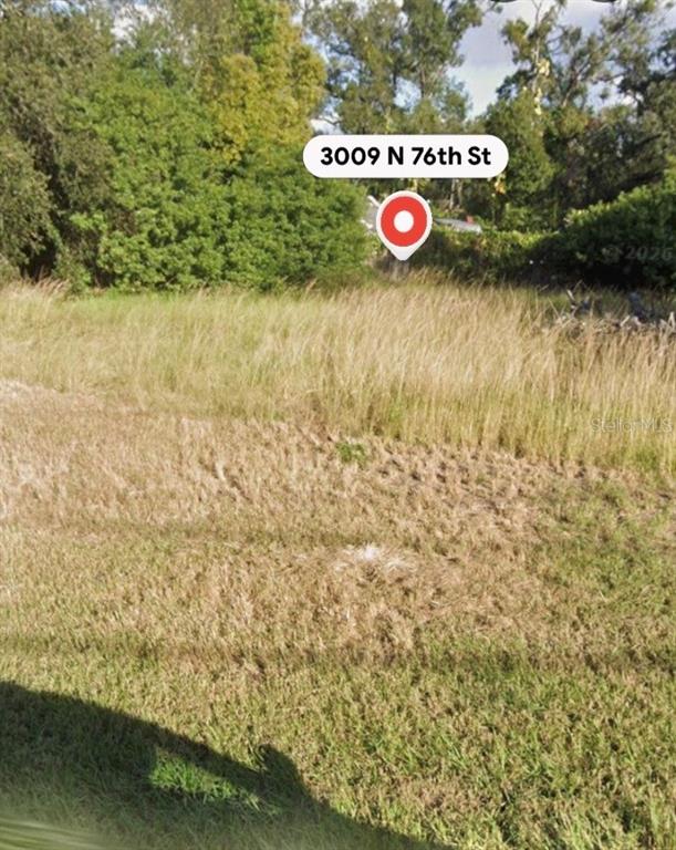 An overgrown, grassy vacant lot is surrounded by dense trees and foliage — 3009 N 76TH STREET, TAMPA, FL