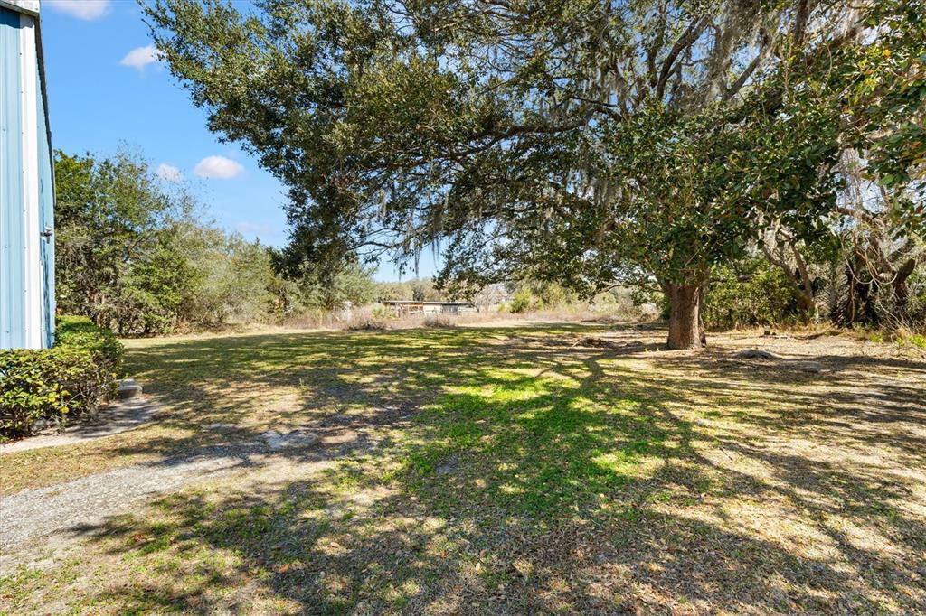 A large, grassy backyard features a mature oak tree and a blue metal building exterior — 118 WEBER AVENUE, LEESBURG, FL