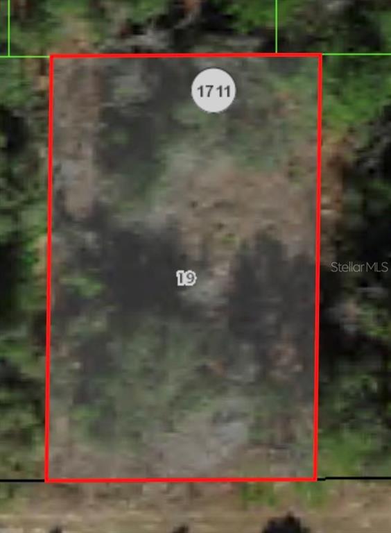 This is an aerial map view of a rectangular plot of land outlined in red — 1729 W PENDLETON STREET, CITRUS SPRINGS, FL