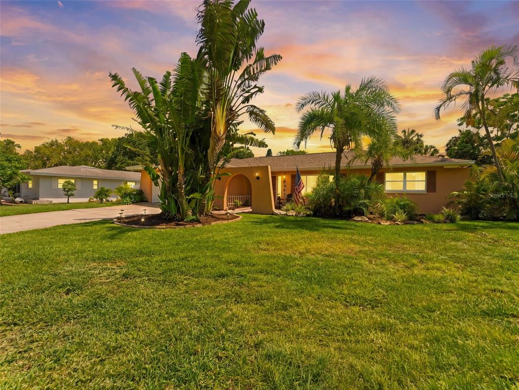 A single-story house with a large palm tree in the front yard at sunset — 3325 SAN MATEO STREET, CLEARWATER, FL