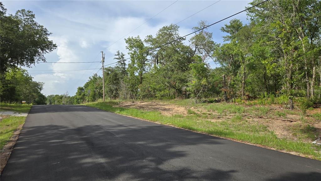 An asphalt road runs alongside a wooded lot with a utility pole and power lines — 4771 N REDWOOD AVENUE, HERNANDO, FL