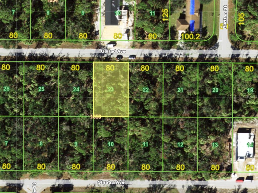 This is an aerial map showing a highlighted rectangular lot between Goliad and Sinatra Avenues — 18161 GOLIAD AVENUE, PORT CHARLOTTE, FL
