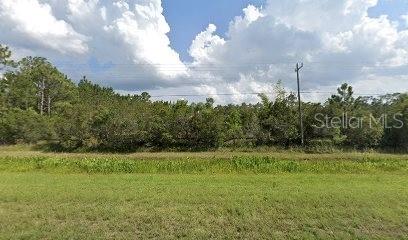 20498 E COLONIAL DRIVE, CHRISTMAS, FL — photo 2 of 2