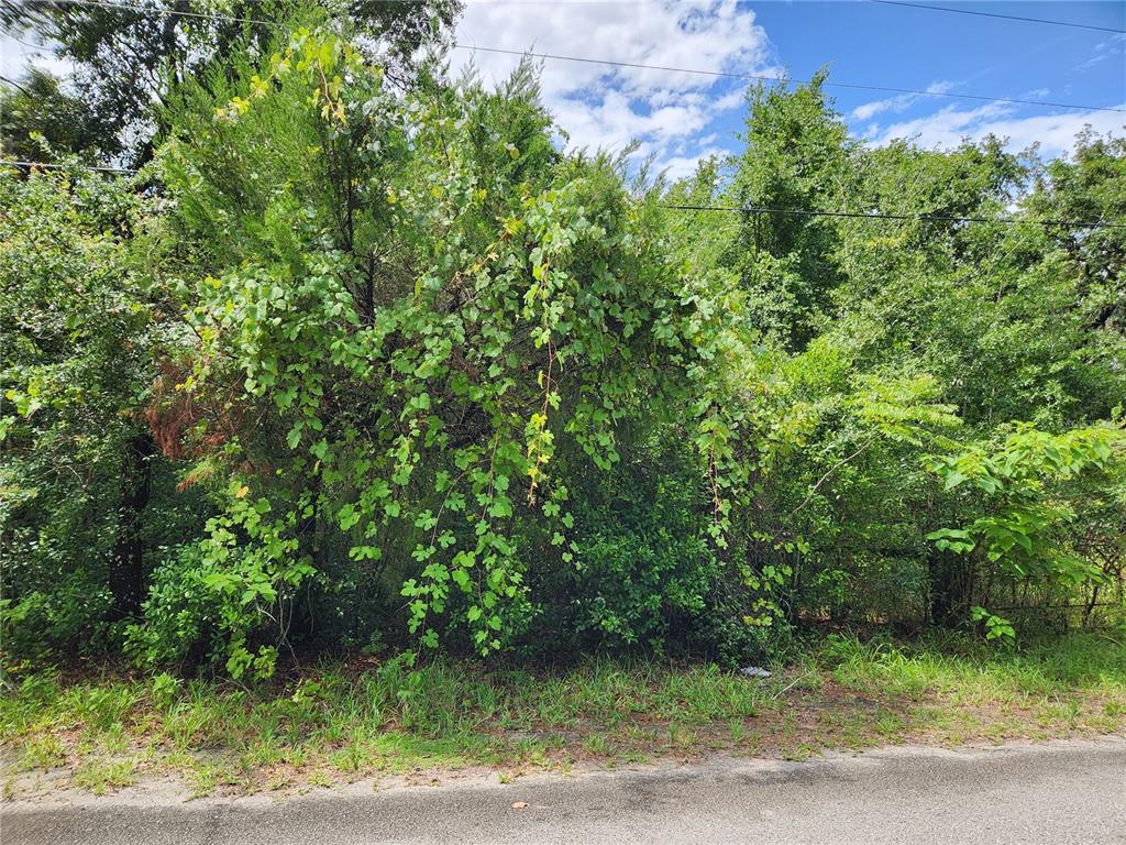 00 OAK DRIVE UNIT Tract 25
