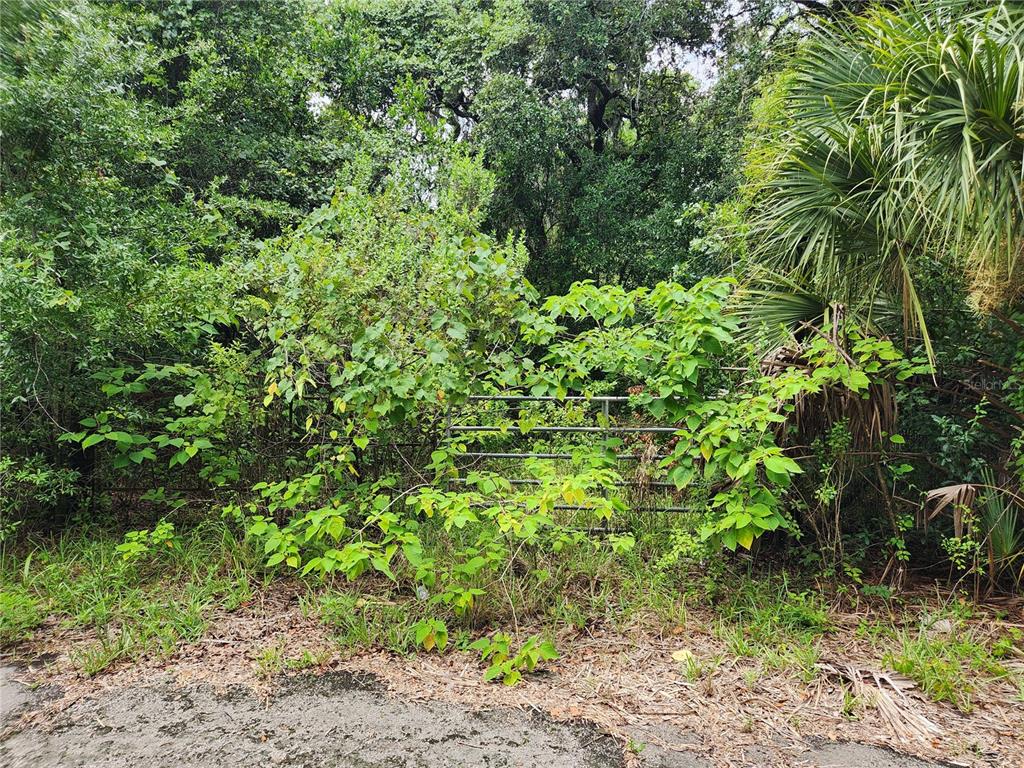 A metal gate is partially obscured by overgrown vegetation and trees at the edge of pavement — 00 OAK DRIVE UNIT Tract 25, HUDSON, FL